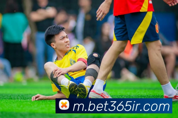 bet365中国官网服务体系